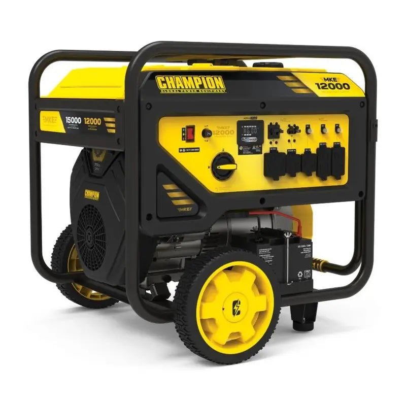 Champion Power Equipment 12
